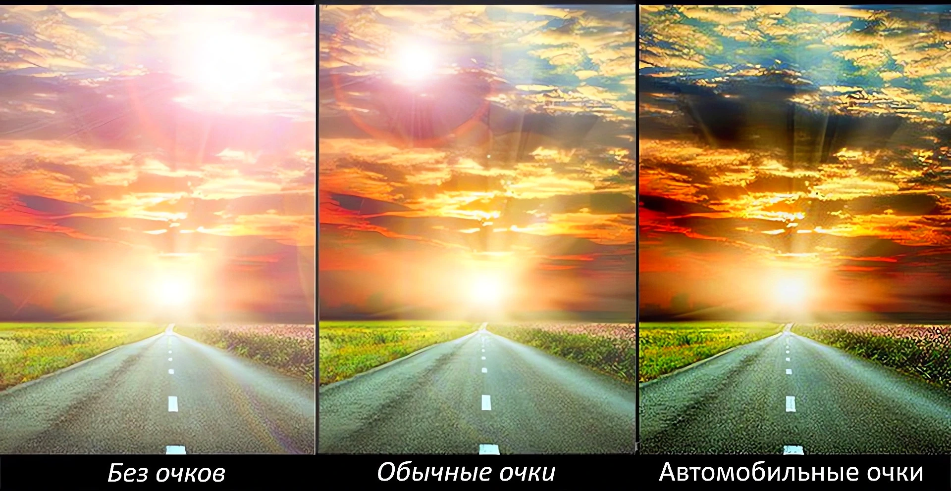 Очки для дальнобойщиков для вождения